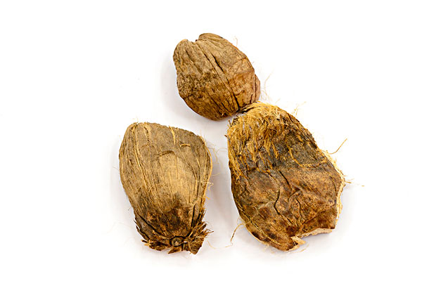 嚼檳榔的好處和壞處 嚼檳榔頭暈怎么回事？