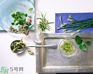 吃韭菜能減肥嗎？韭菜的功效與作用