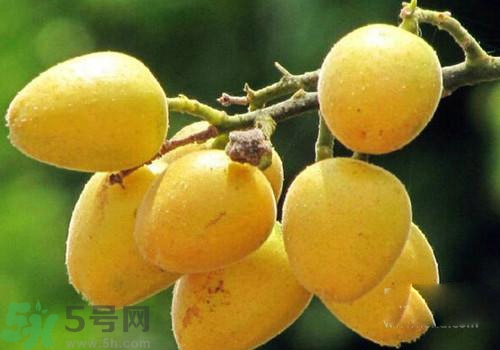 黃皮果的皮可以吃嗎？黃皮果的皮有什么作用