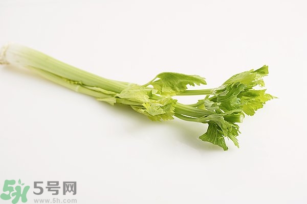 芹菜對精子有害嗎？芹菜對精子質(zhì)量有什么影響？