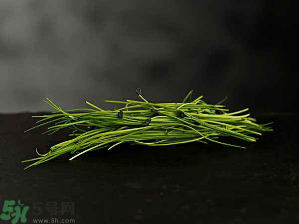 吃韭菜會燒心嗎？吃韭菜燒心怎么辦？