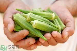 腎病可以吃秋葵嗎？腎病患者能吃秋葵嗎？