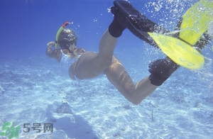 浮潛是什么意思？深潛和浮潛有什么區(qū)別？?