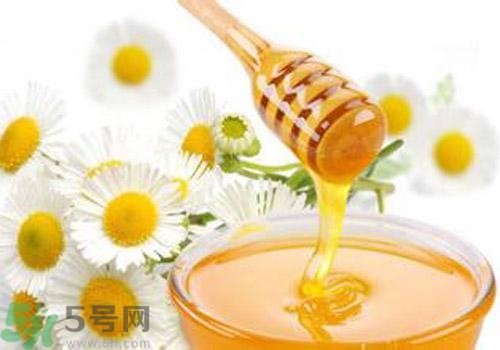 什么蜂蜜才是好蜂蜜？好壞蜂蜜的鑒別
