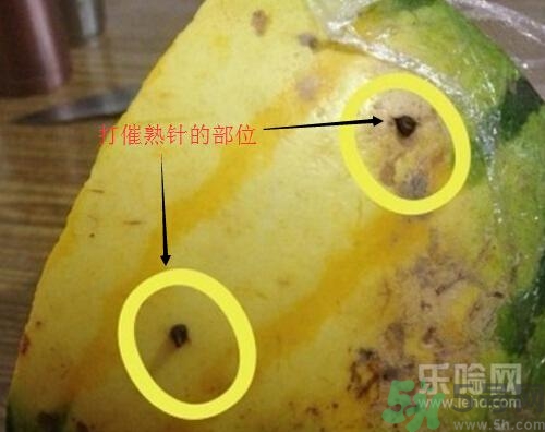 如何辨別催熟的西瓜？催熟的西瓜是什么樣的？