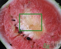 如何辨別催熟的西瓜？催熟的西瓜是什么樣的？