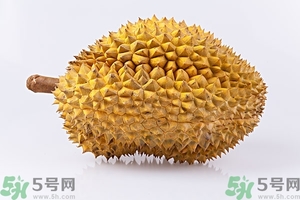 榴蓮能放冰箱嗎？榴蓮放在冰箱能保存幾天？