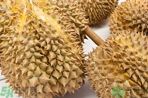 榴蓮能放冰箱嗎？榴蓮放在冰箱能保存幾天？