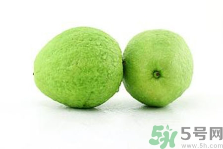 番石榴是熱性還是涼性？番石榴是涼性的嗎？