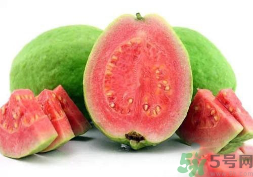番石榴是發(fā)物嗎？番石榴是不是發(fā)物？