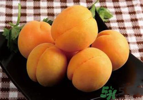 杏子是熱性還是涼性？杏子是涼性的嗎？