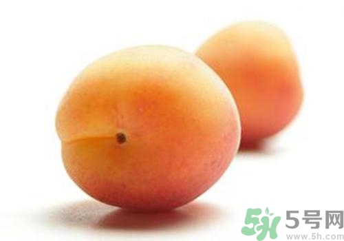 杏子有毒嗎？杏子吃了會(huì)中毒嗎？
