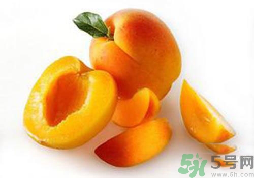 杏子有毒嗎？杏子吃了會(huì)中毒嗎？