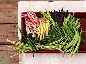 痛風(fēng)能吃豆角嗎？痛風(fēng)吃豆角行嗎？