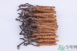冬蟲夏草真假怎么鑒別？冬蟲夏草怎么吃效果最好？