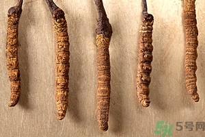 冬蟲夏草真假怎么鑒別？冬蟲夏草怎么吃效果最好？