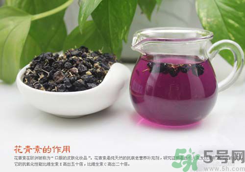 黑枸杞泡水是什么顏色？黑枸杞泡水是紫色的嗎？