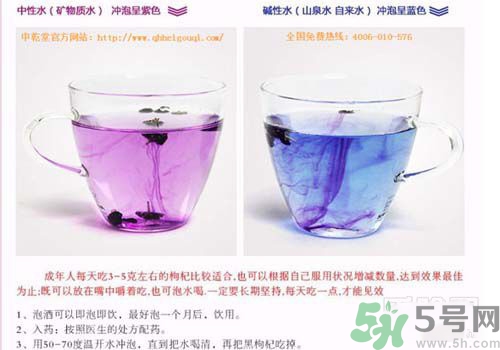 黑枸杞泡水是什么顏色？黑枸杞泡水是紫色的嗎？
