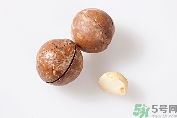夏威夷果什么時(shí)候成熟上市？腰果和夏威夷果的區(qū)別
