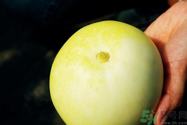 香瓜有酒味能吃嗎？香瓜有酒味吃了會怎樣？