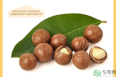 夏威夷果肉黏殼怎么辦？夏威夷果能放多久？