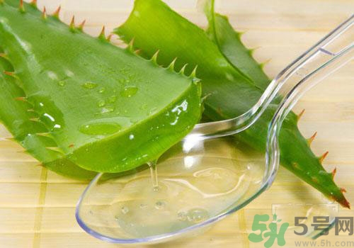 蘆薈膠要洗臉嗎？用完蘆薈膠要不要洗臉？