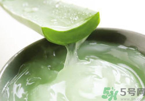 孕婦可以用蘆薈膠嗎？蘆薈膠孕婦可以用嗎？