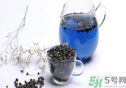 黑枸杞能用開水泡嗎？黑枸杞的沖泡方法