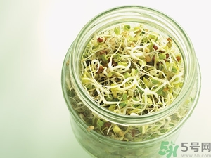吃豆芽會胖嗎？豆芽會不會讓人長胖？