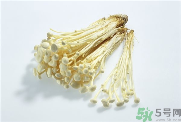 致癌金針菇怎么鑒別？如何選購金針菇？