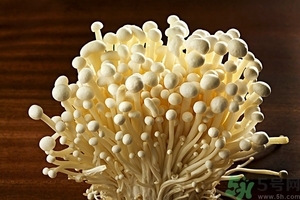致癌金針菇怎么鑒別？如何選購金針菇？
