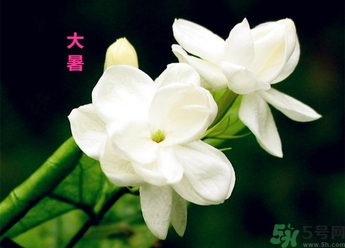 大暑是幾月幾日？大暑是什么意思？