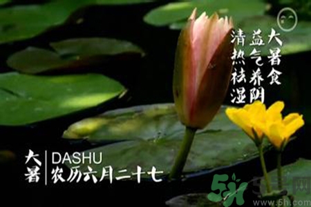 大暑是入伏嗎？大暑是最熱的時(shí)候嗎？