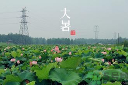 大暑吃什么養(yǎng)生？大暑吃什么好？