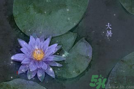 大暑吃什么養(yǎng)生？大暑吃什么好？