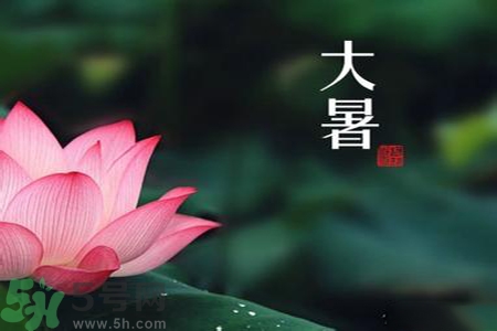 大暑為什么要吃羊肉？大暑吃羊肉的原因