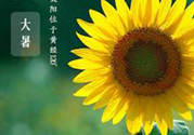 大暑是幾月幾日？大暑是什么意思？
