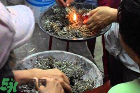 夏天可以用艾草驅(qū)蚊嗎？夏天可不可以用艾草驅(qū)蚊？