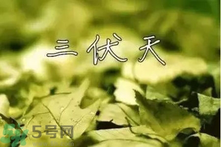 三伏天什么時候開始？三伏天是什么意思？