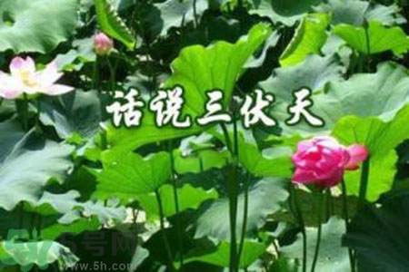 三伏天吃什么？三伏天傳統(tǒng)美食有哪些？