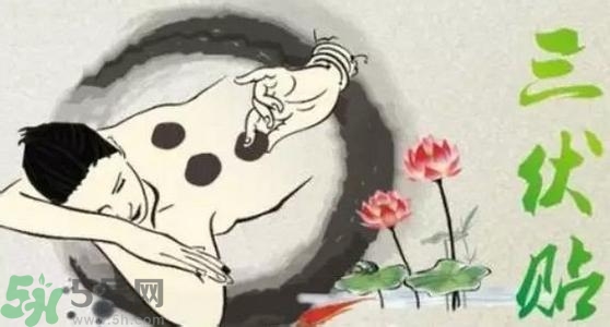 三伏貼的印子怎么去掉？三伏貼的印記多久才會(huì)消失？