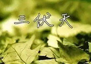 三伏天吃什么？三伏天傳統(tǒng)美食有哪些？