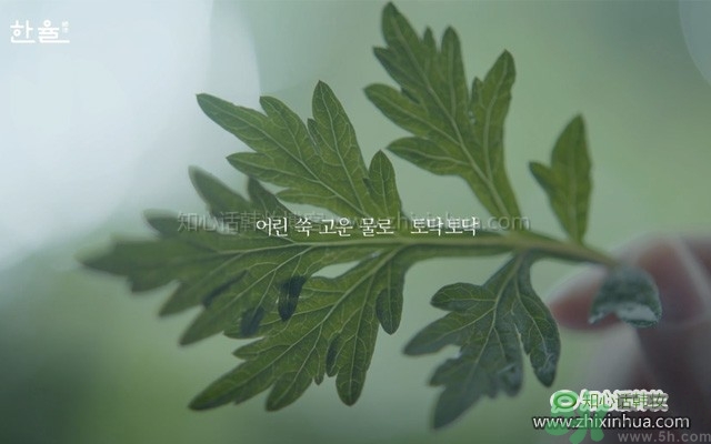 韓律艾草補(bǔ)水鎮(zhèn)靜噴霧怎么樣？好用嗎？