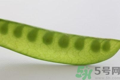煮豌豆怎么做好吃？煮豌豆的做法