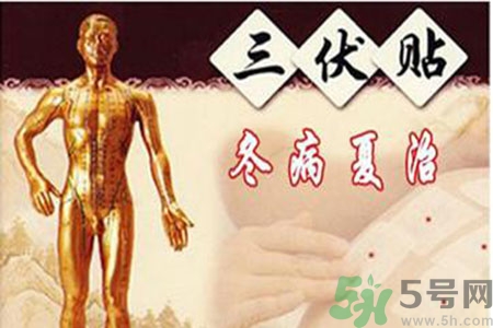 胃病可以貼三伏貼嗎？胃病貼三伏貼貼哪里？