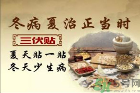 胃病可以貼三伏貼嗎？胃病貼三伏貼貼哪里？