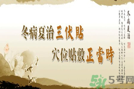 胃病可以貼三伏貼嗎？胃病貼三伏貼貼哪里？