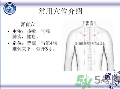 三伏貼可以貼肚臍嗎？三伏貼可以貼肚臍眼嗎？