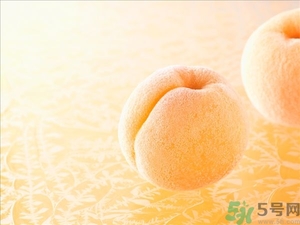 杏子不太熟能吃嗎？杏子不太熟怎么辦？