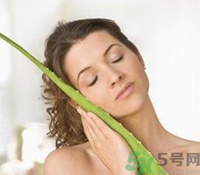 蘆薈膠會(huì)堵塞毛孔嗎？蘆薈膠應(yīng)該怎么用？